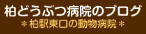 柏どうぶつ病院のブログ＊柏駅東口の動物病院＊